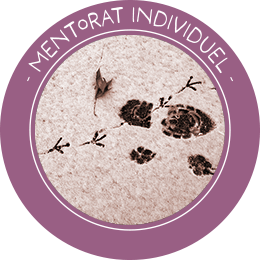 Mentorat Individuel - Icone de sélection